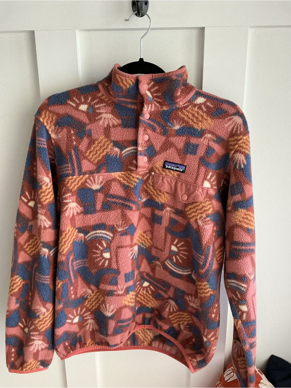 Patagonia Women’s Canyon Block Big Sisu Print Synchilla Pullover
